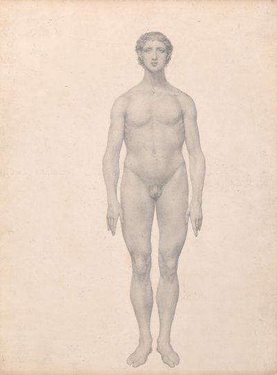 A Comparative Anatomical Exposition of the Structure of the Human Body with that of a Tiger and a Cow by George Stubbs